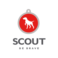 Scout Marketing