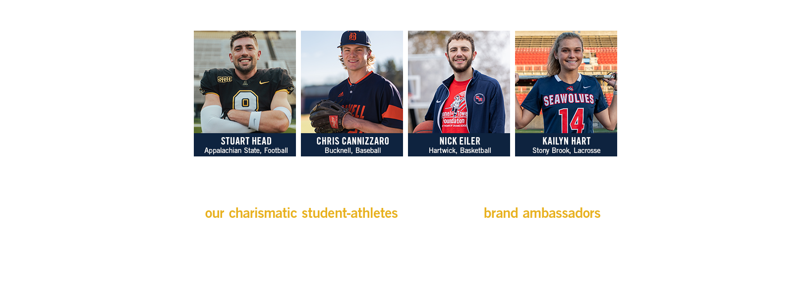 Tunnel to Towers Foundation