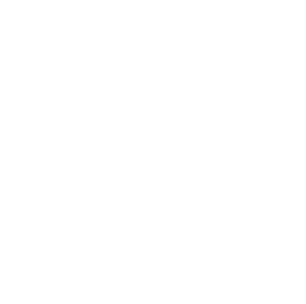 United Airlines NYC Half Tunnel to Towers Foundation